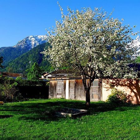 Haus Stainer Διαμέρισμα Lofer Εξωτερικό φωτογραφία