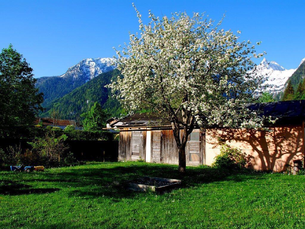 Haus Stainer Διαμέρισμα Lofer Εξωτερικό φωτογραφία